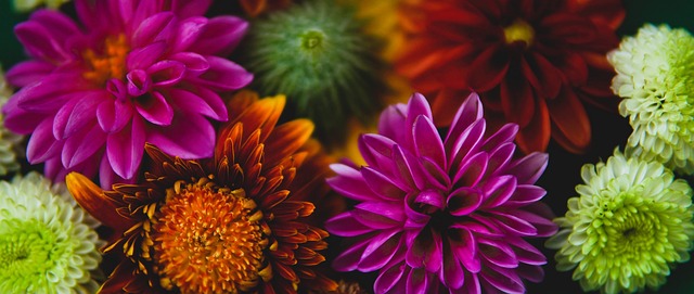 的冷静和决 的冷静和决