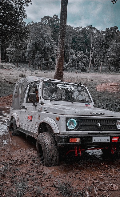 每一份新合 每一份新合