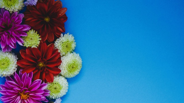 承受能力 承受能力