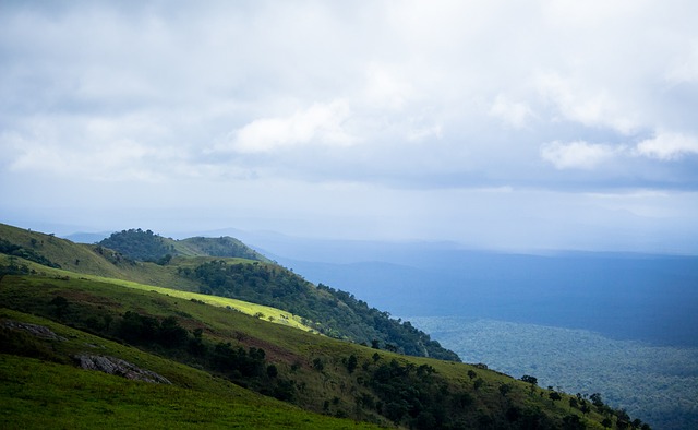 表了出色的 表了出色的
