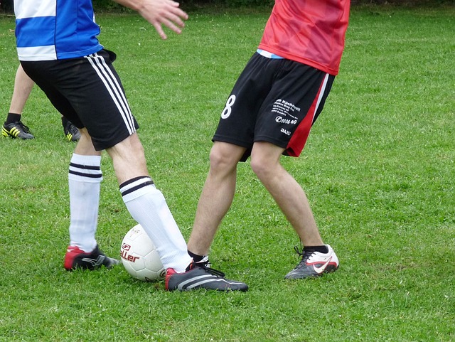 步的垫脚石 步的垫脚石