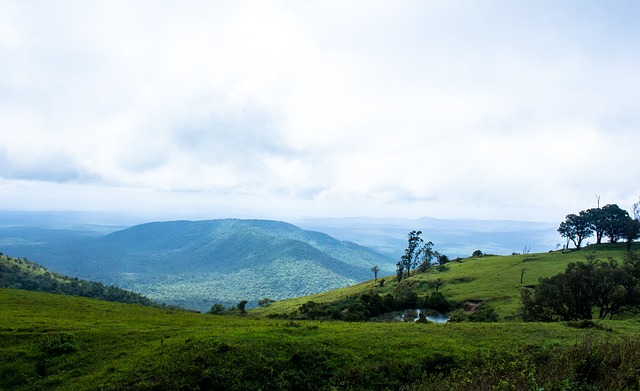 但难以抵挡 但难以抵挡