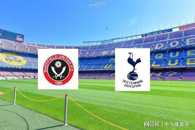 的表现空间 的表现空间