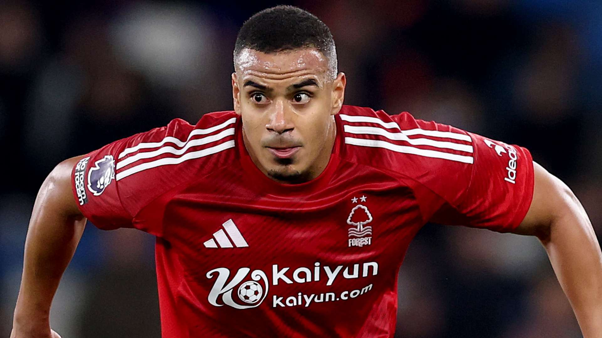 斯和羅德里 斯和羅德里