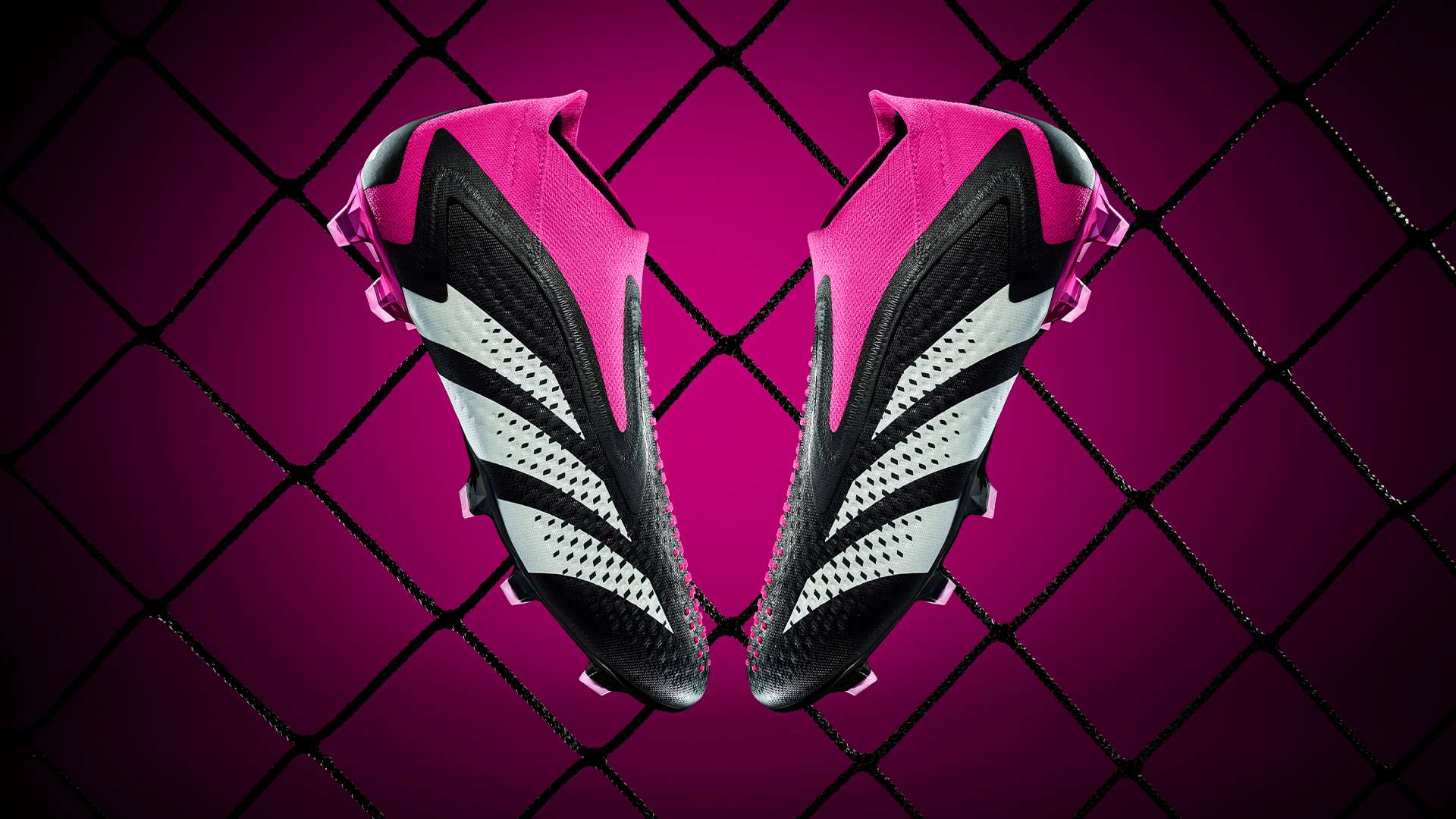 的新的篇章 的新的篇章