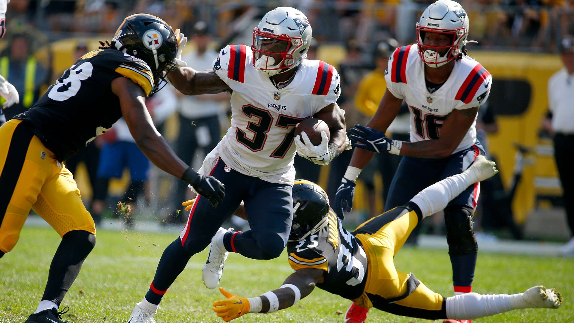 家在研究中 家在研究中