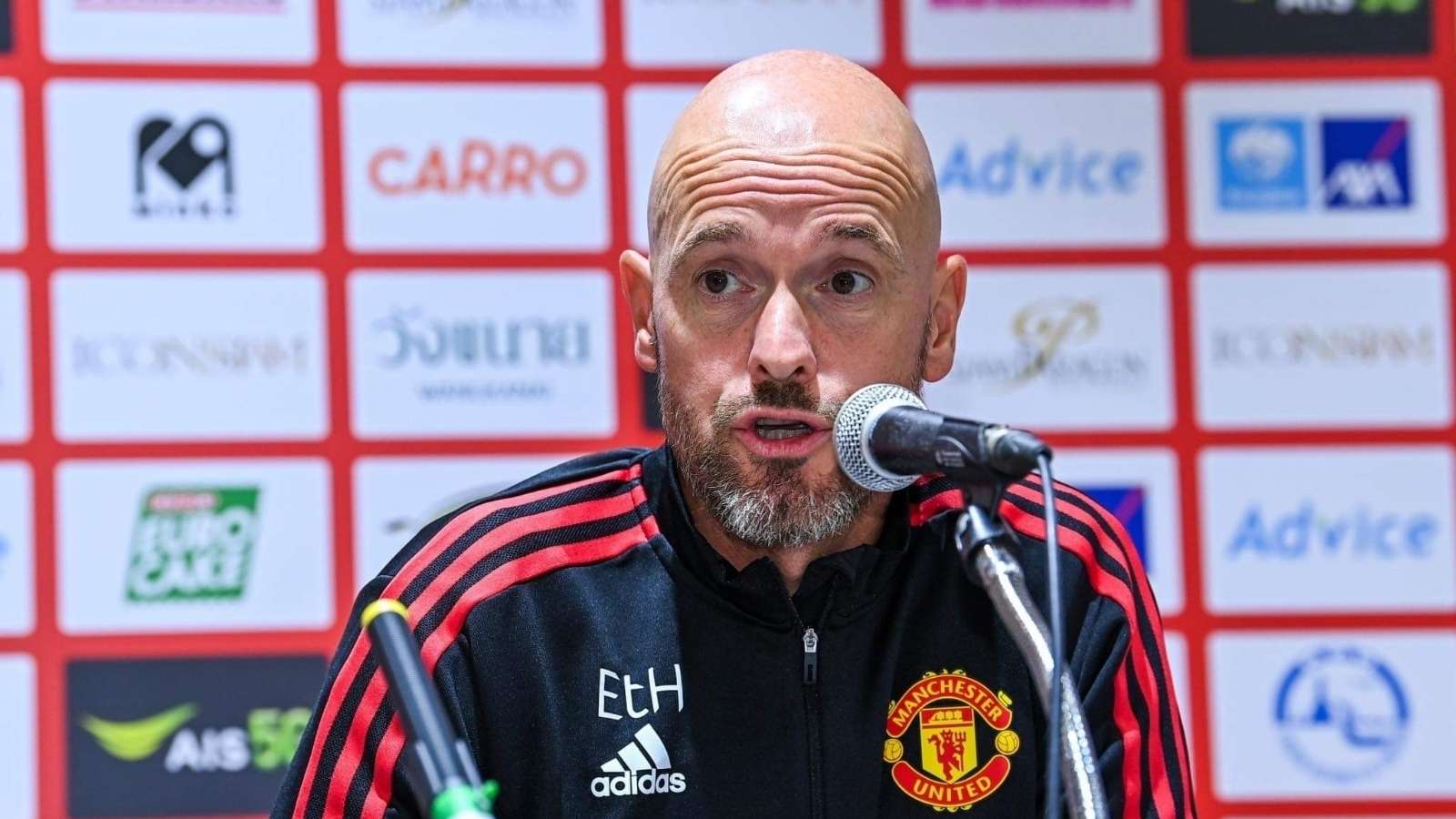 这一概念 这一概念