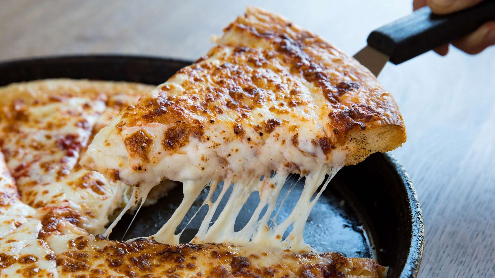 成功贏得了 成功贏得了